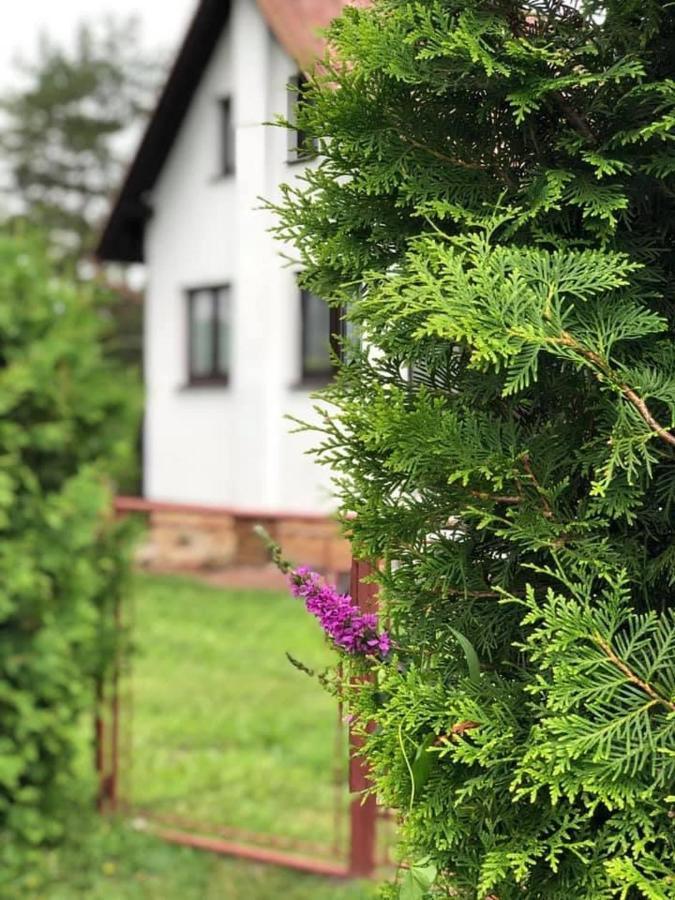 Chata u Smolíků Borovany  Exteriér fotografie