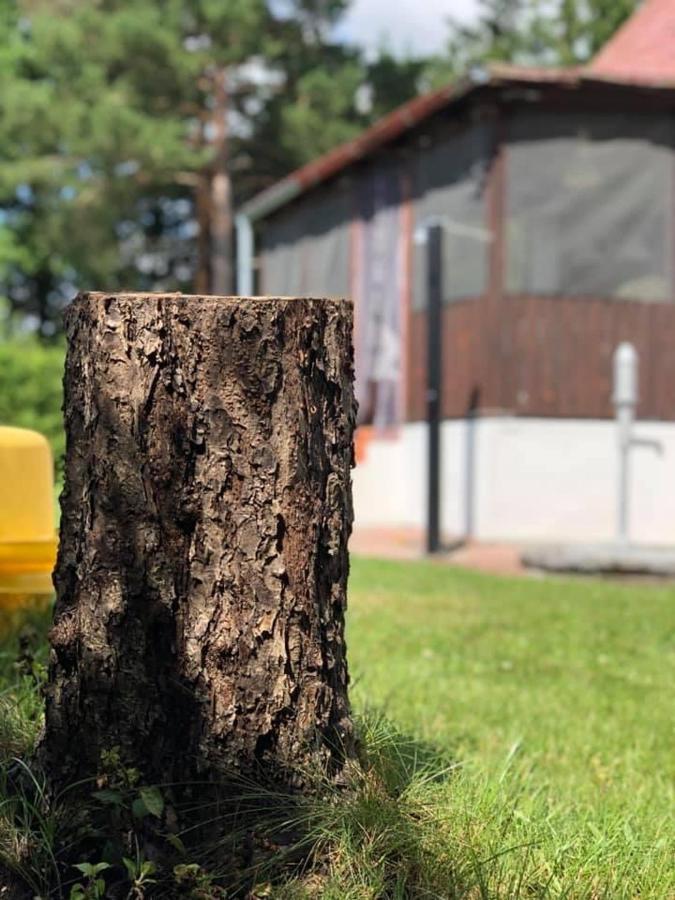 Chata u Smolíků Borovany  Exteriér fotografie