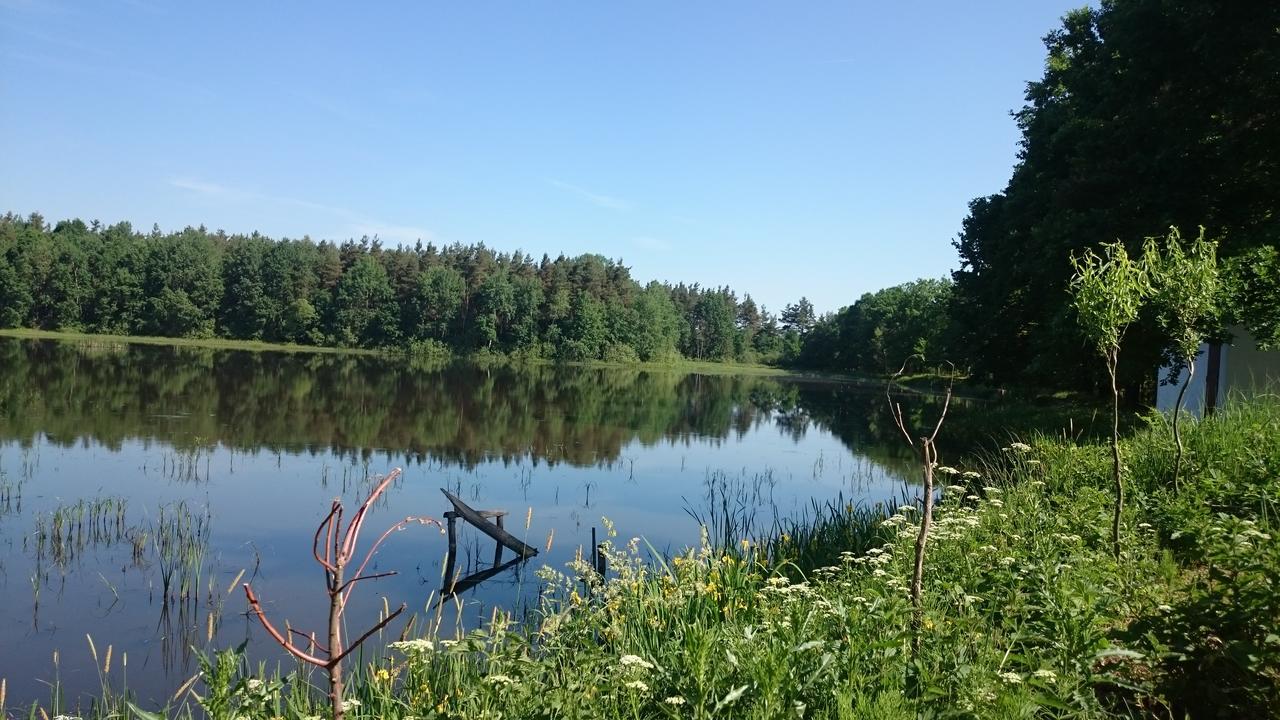 Chata u Smolíků Borovany  Exteriér fotografie